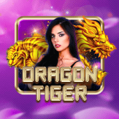 Dragon Tiger Bingo card live casino