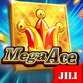 Mega Ace Bingo card slot