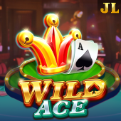 Wild Ace slot on Bingo card